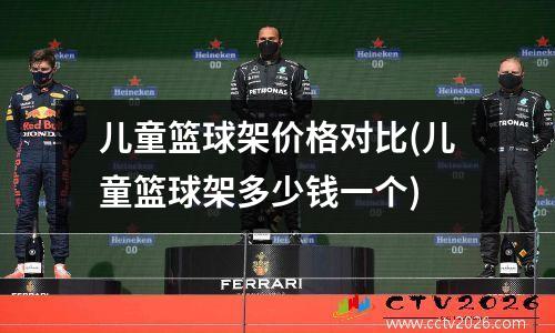 儿童篮球架价格对比(儿童篮球架多少钱一个)