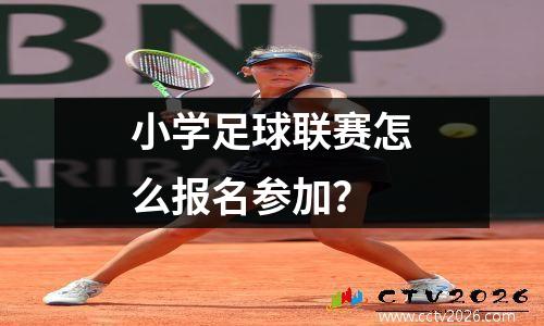 小学足球联赛怎么报名参加？