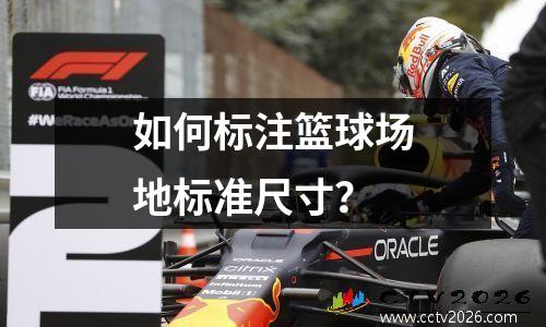 如何标注篮球场地标准尺寸？
