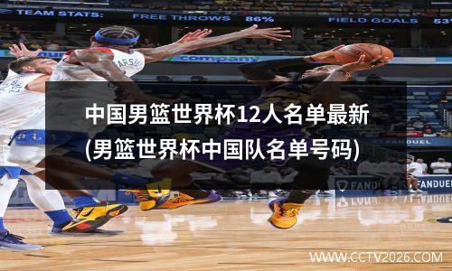中国男篮世界杯12人名单最新(男篮世界杯中国队名单号码)