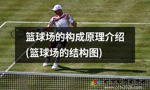 篮球场的构成原理介绍(篮球场的结构图)