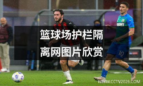 篮球场护栏隔离网图片欣赏