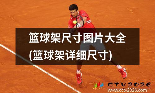 篮球架尺寸图片大全(篮球架详细尺寸)