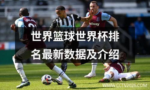 世界篮球世界杯排名最新数据及介绍