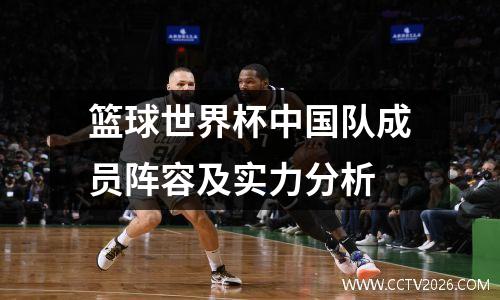 篮球世界杯中国队成员阵容及实力分析