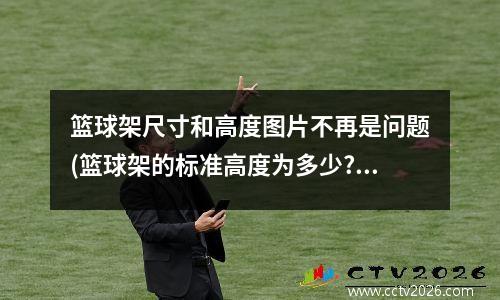 篮球架尺寸和高度图片不再是问题(篮球架的标准高度为多少?)