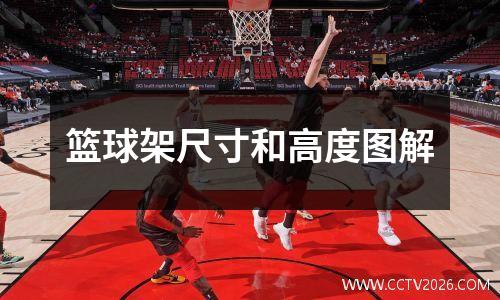 篮球架尺寸和高度图解