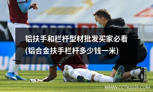 铝扶手和栏杆型材批发买家必看(铝合金扶手栏杆多少钱一米)