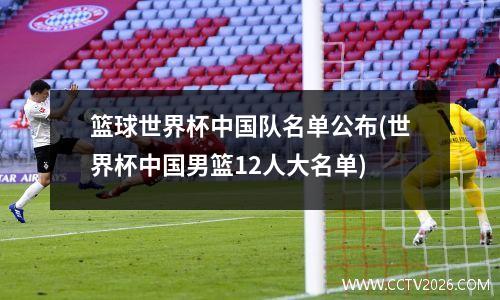 篮球世界杯中国队名单公布(世界杯中国男篮12人大名单)