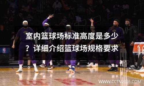 室内篮球场标准高度是多少？详细介绍篮球场规格要求