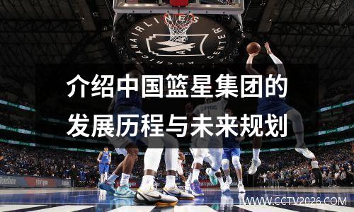 介绍中国篮星集团的发展历程与未来规划