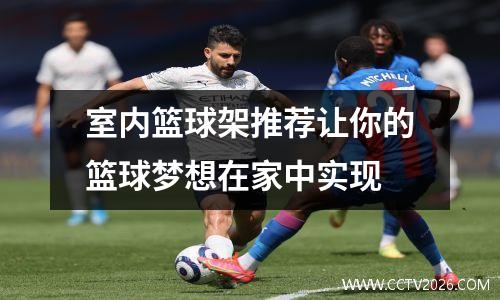 室内篮球架推荐让你的篮球梦想在家中实现