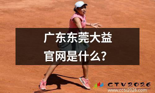 广东东莞大益官网是什么？