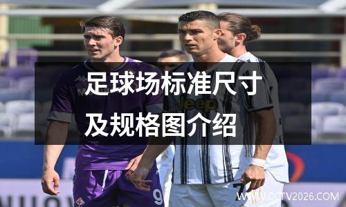 足球场标准尺寸及规格图介绍