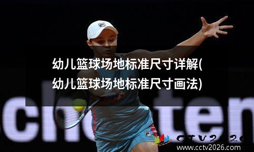 幼儿篮球场地标准尺寸详解(幼儿篮球场地标准尺寸画法)