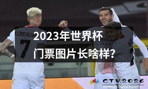2023年世界杯门票图片长啥样？