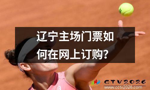 辽宁主场门票如何在网上订购？