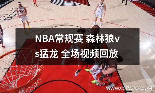 NBA常规赛 森林狼vs猛龙 全场视频回放