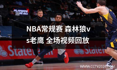 NBA常规赛 森林狼vs老鹰 全场视频回放