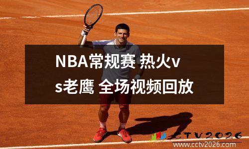 NBA常规赛 热火vs老鹰 全场视频回放