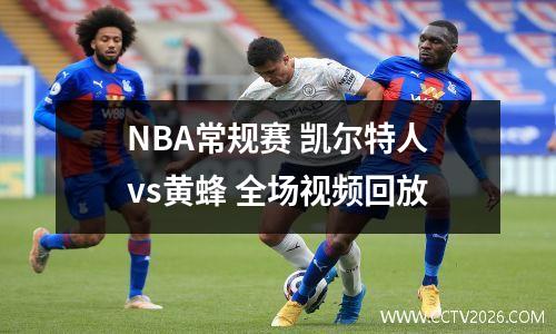 NBA常规赛 凯尔特人vs黄蜂 全场视频回放