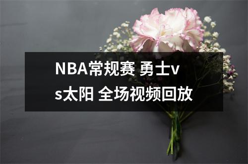 NBA常规赛 勇士vs太阳 全场视频回放