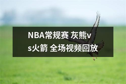 NBA常规赛 灰熊vs火箭 全场视频回放