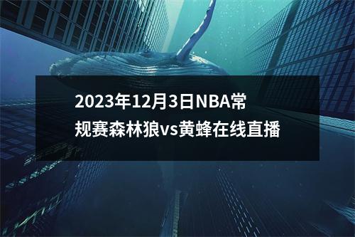 2023年12月3日NBA常规赛森林狼vs黄蜂在线直播