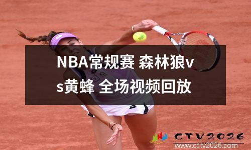 NBA常规赛 森林狼vs黄蜂 全场视频回放
