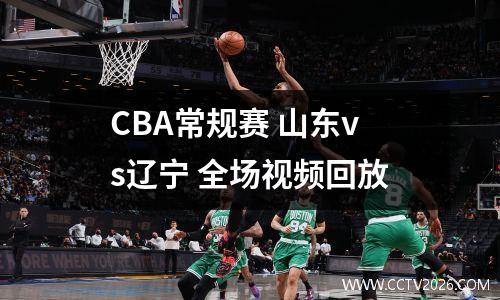 CBA常规赛 山东vs辽宁 全场视频回放