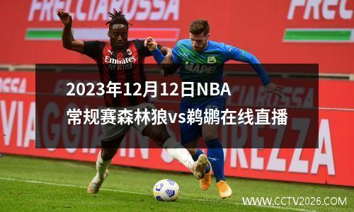 2023年12月12日NBA常规赛森林狼vs鹈鹕在线直播