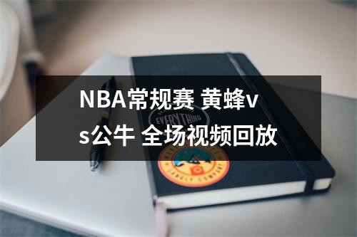 NBA常规赛 黄蜂vs公牛 全场视频回放