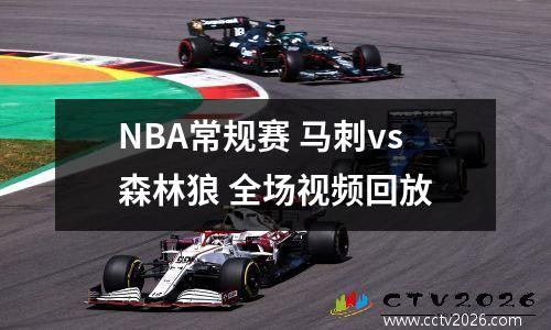 NBA常规赛 马刺vs森林狼 全场视频回放