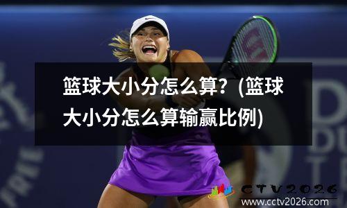 篮球大小分怎么算？(篮球大小分怎么算输赢比例)