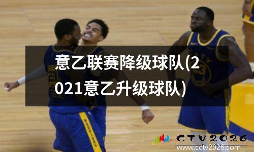 意乙联赛降级球队(2021意乙升级球队)