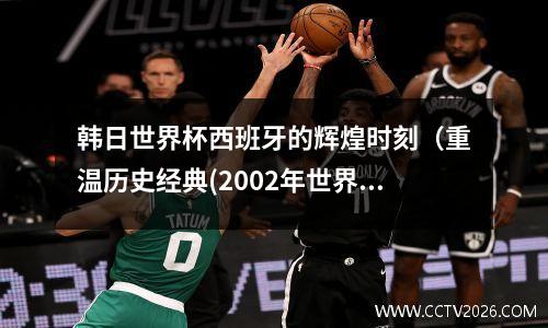 韩日世界杯西班牙的辉煌时刻（重温历史经典(2002年世界杯韩国西班牙进球无效)