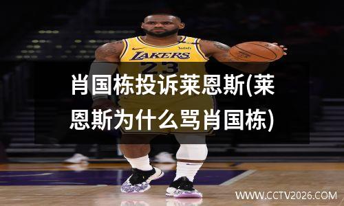 肖国栋投诉莱恩斯(莱恩斯为什么骂肖国栋)