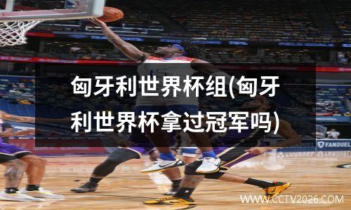 匈牙利世界杯组(匈牙利世界杯拿过冠军吗)