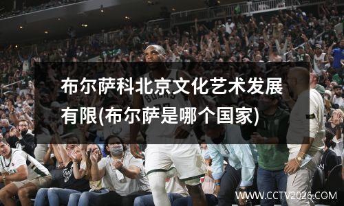 布尔萨科北京文化艺术发展有限(布尔萨是哪个国家)