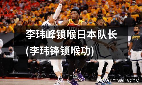 李玮峰锁喉日本队长(李玮锋锁喉功)