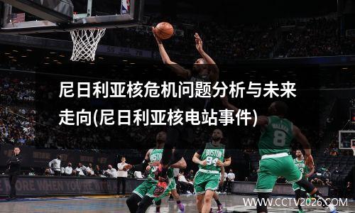 尼日利亚核危机问题分析与未来走向(尼日利亚核电站事件)