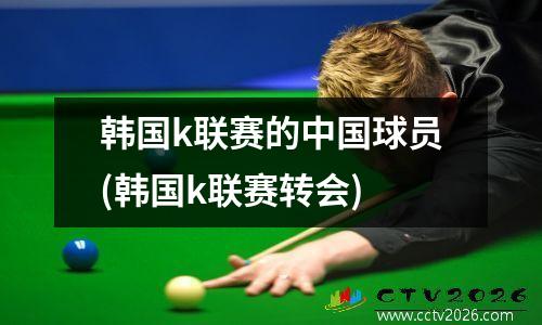 韩国k联赛的中国球员(韩国k联赛转会)