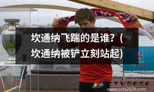 坎通纳飞踹的是谁？(坎通纳被铲立刻站起)