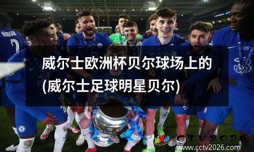 威尔士欧洲杯贝尔球场上的(威尔士足球明星贝尔)