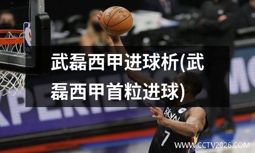 武磊西甲进球析(武磊西甲首粒进球)