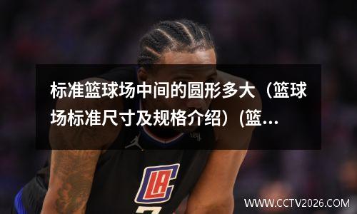 标准篮球场中间的圆形多大（篮球场标准尺寸及规格介绍）(篮球场中圈的面积是多少)