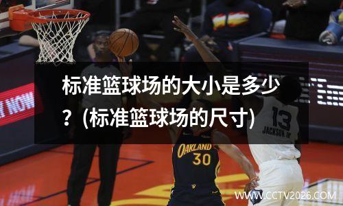 标准篮球场的大小是多少？(标准篮球场的尺寸)