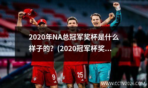 2020年NA总冠军奖杯是什么样子的？(2020冠军杯奖金)