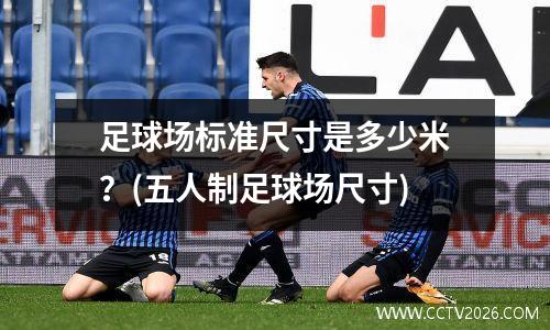 足球场标准尺寸是多少米？(五人制足球场尺寸)