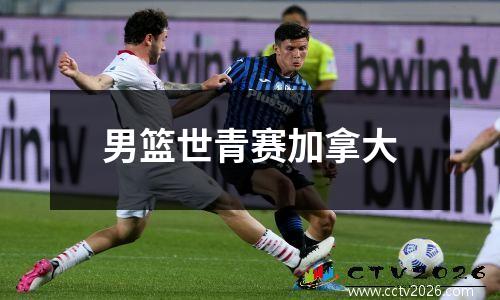 男篮世青赛加拿大